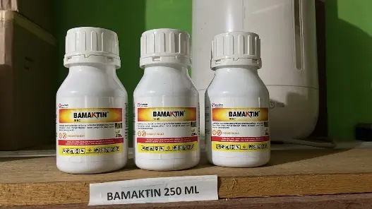 Bamaktin