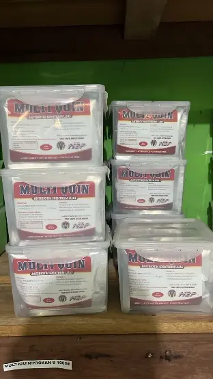 Multi Quin